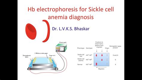 Hemoglobin Electrophoresis Test