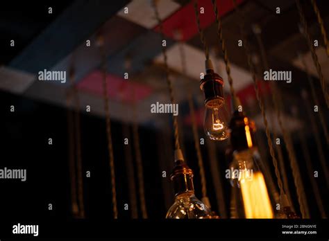 hanging array   incandescent light bulbs stock photo alamy