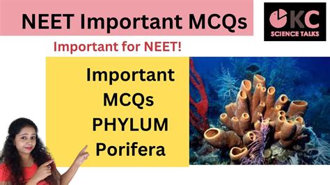 Important Mcqs For Neet From Phylum Porifera I Sponges I Neet Questions