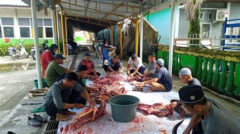 Momentum Idul Adha 1444 H Penuh Makna Dengan Penyembelihan Hewan Qurban