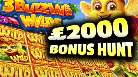 Higher Stakes Online Slots Bonus Hunt Bonuses Stakes