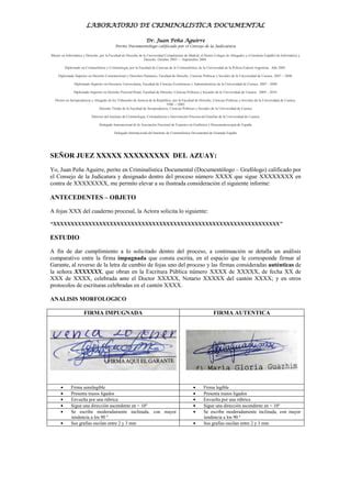 Informe Dr Pe A Pdf