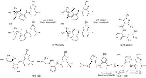 具有商业化前景的琥珀酸脱氢酶抑制剂（sdhi）类杀菌剂，王叔和一文说清楚 知乎