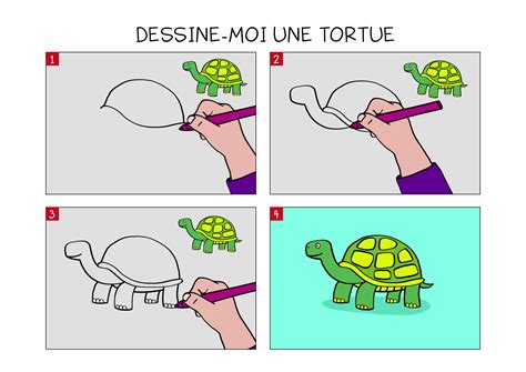 Apprendre à Dessiner Une Tortue En 3 étapes