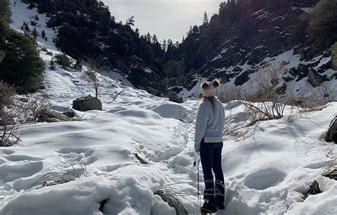 Enchanted Forest Trail And Woodland Falls Trail In Pine Mountain Club