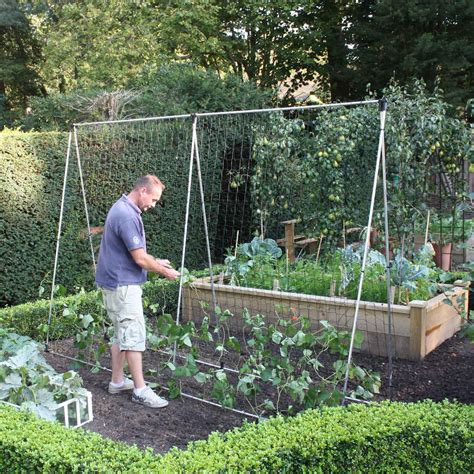 Harrod Slot Lock Bean And Pea Support Frames Harrod Horticultural Uk