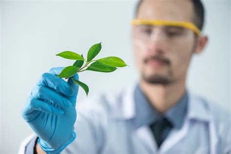 Ciencias Naturales Concepto Objeto Clasificación y Ramas