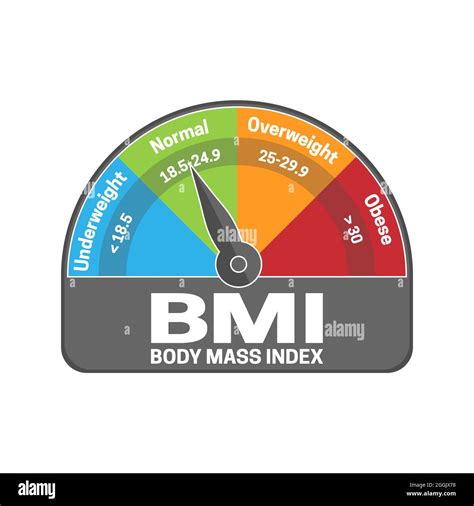 Indice Di Massa Corporea Bmi Calcolare Lillustrazione O Il Grafico