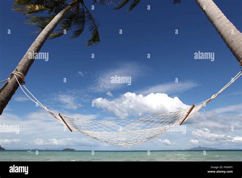 Empty Hammock Between Palm Trees On Tropical Beach Stock Photo Alamy