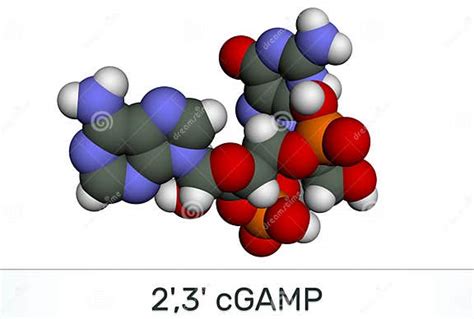 C Gmp Amp 2`3` Cgamp Cyclic Guanosine Monophosphate Adenosine