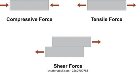 Shearing Science