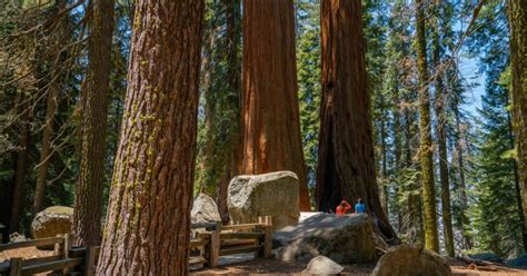 Top 9 Sequoia National Park Attractions