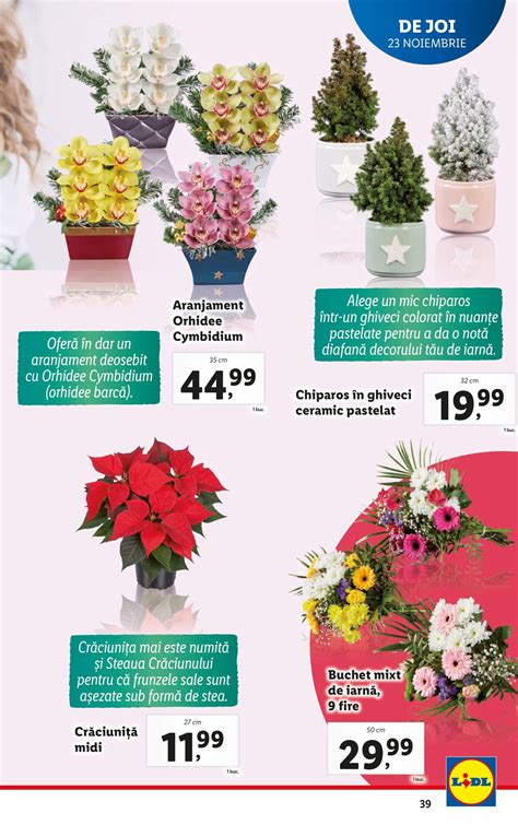 Extra Oferte De Joi Lidl Noiembrie Revista Oferte Lidl