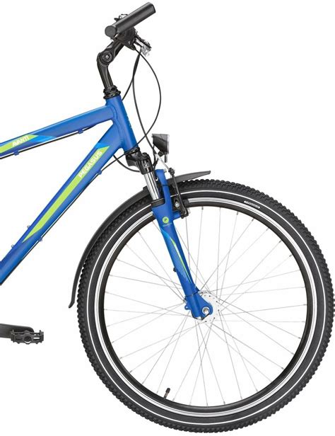 Pegasus Avanti Sport Gang Nabenschaltung Herrenfahrrad Dirt