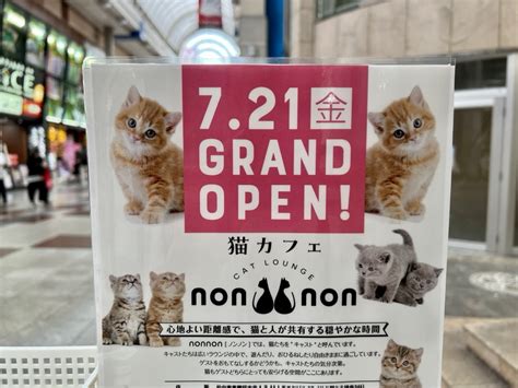 【仙台市】アーケードに猫カフェ「キャットラウンジノンノン」が7月21日オープン！ 仙台南つうしん