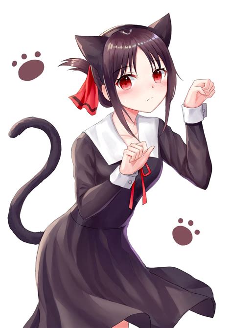 Neko Girl Shinomiya Kaguya Kaguya Sama Love Is War Artist Seungju Lee Other Anime