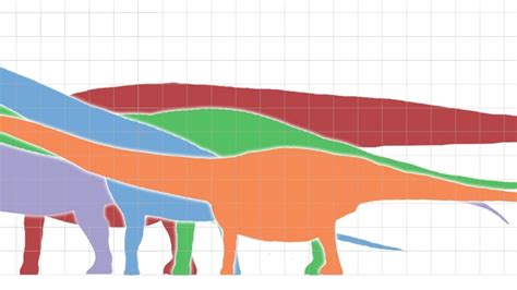 Biggest Dinosaur Ever? Maybe. Maybe Not.