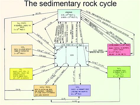 9 The sedimentary rock cycle of reservoirs and fluxes as it appeared in ...