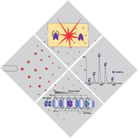 Native Mass Spectrometry—a Valuable Tool In Structural Biology Barth