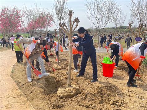 树说青春 共话未来 新洲区检察院组织帮教对象参加植树活动 图片新闻 湖北省武汉市新洲区人民检察院