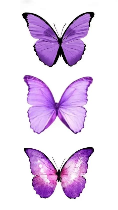 Photo collage template, Butterfly printable, Butterfly painting