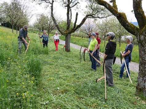 Sensen Und Dengelkurs NIMS Natur Im Siedlungsraum