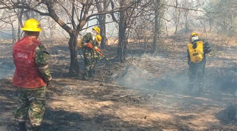 El Niño Incendios Forestales Activos En Colombia