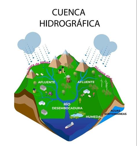 Dibuja Una Cuenca Hidrogr Fica En La Cual Se Visibilizan En Sus