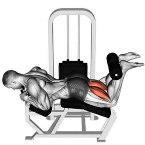 Lying Leg Curl Machine by Odin S. - Exercise How-to - Skimble