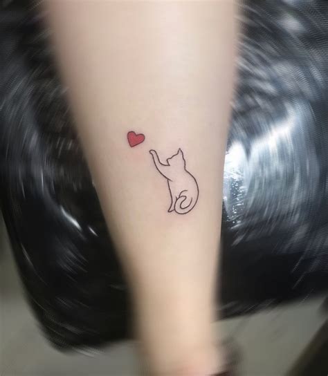 Tatuagem Gatinho Tatuagem Boas Ideias Para Tatuagem Tatuagem Delicada