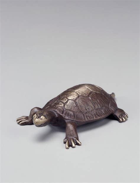 Scott Nelles Bronze Turtle Sculpture Grovewood Gallery