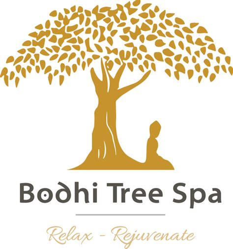 bodhi tree png 20 free Cliparts | Download images on Clipground 2024