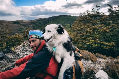 Claves Para Hacer Senderismo Con Tu Perro Ocio Doncomos