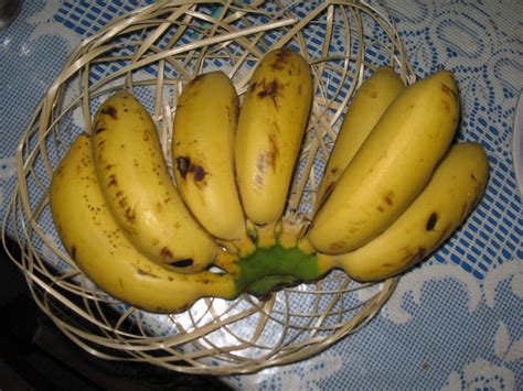 8 Jenis Pisang Dan Olahannya Yang Cocok Jangan Asal Nggak Semuanya