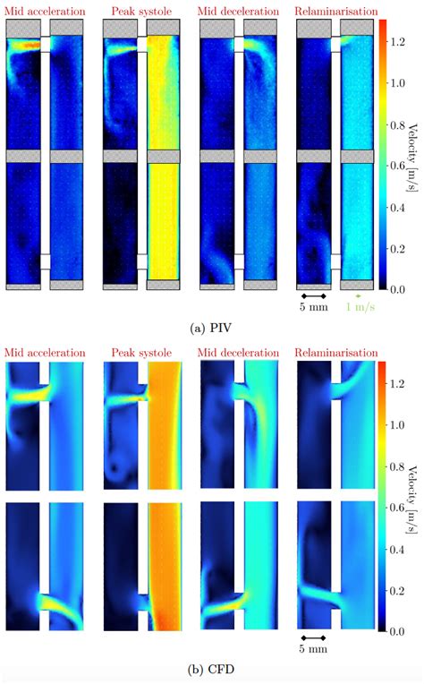 Experimental Phase Locked Averaged Velocity Fi Elds Obtained By PIV And