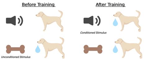 Dopamine More Than Just Reward Pennneuroknow