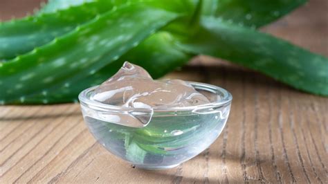 Conserva più a lungo il gel dell aloe i trucchi imperdibili