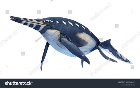 3d Rendered Dinosaur Illustration Shonisaurus Stock Illustration 2217998573 | Shutterstock