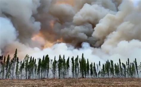 Incendios Forestales En El ártico Lanzarán Olas De Calor Sobre América