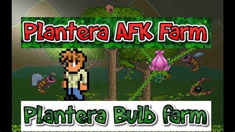 Terraria 3ds How To Afk Farm Plantera How To Also Farm The Plantera