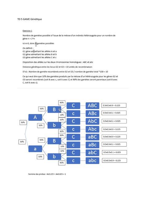 TD 5 GAME Génétique correction TD Génétique GAME 1 Université