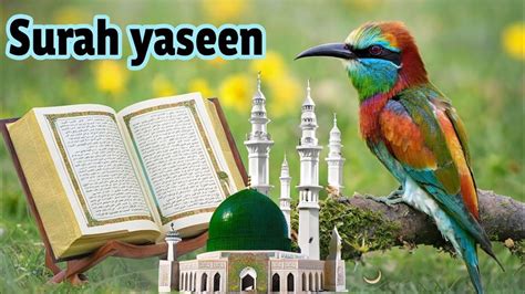 Surah Yasin With Urdu Translation Full Full Urdu Tarjuma Ke Sath Quran