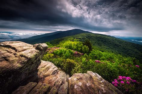 Roan Mountain Southern Appalachian Spring Spring In The H Flickr