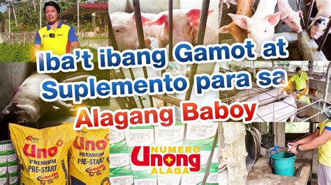 Iba T Ibang Gamot At Suplemento Para Sa Alagang Baboy Episode Youtube