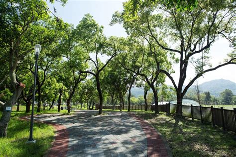 坪林森林公園－臺中觀光旅遊網 Taichung Tourism