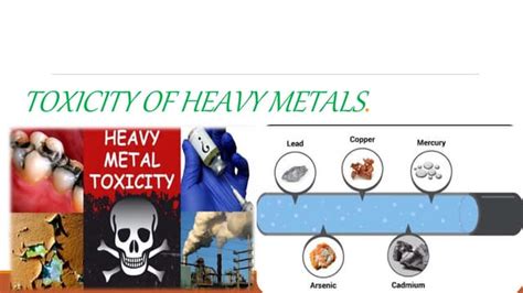 Toxicity Of Heavy Metals Ppt