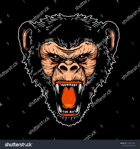 Angry Monkey Head Vector Illustration Design Stock Vector Royalty Free