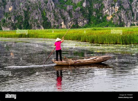 Woman Rowing Wooden Boats Sampans In Trang An A River Delta Area