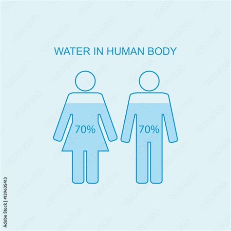 Water in human body. Water content charts percentage in human body ...