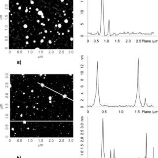 AFM Images Of C60 FWS On Mica Tapping Mode With Different